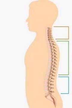 Bizkarrezurraren zati desberdinen osteochondrosia lesioa